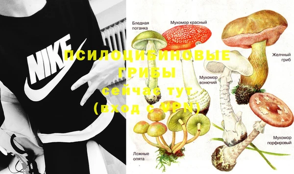 гашишное масло Вяземский