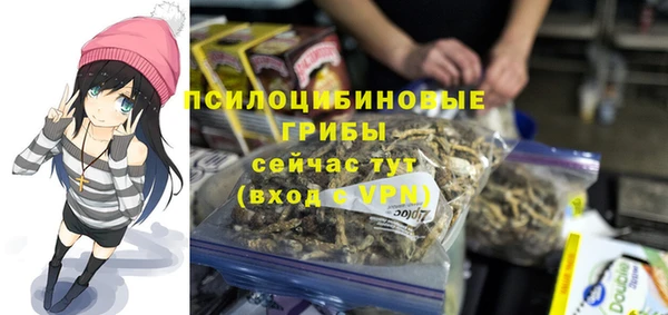 соль курить ск Вязьма