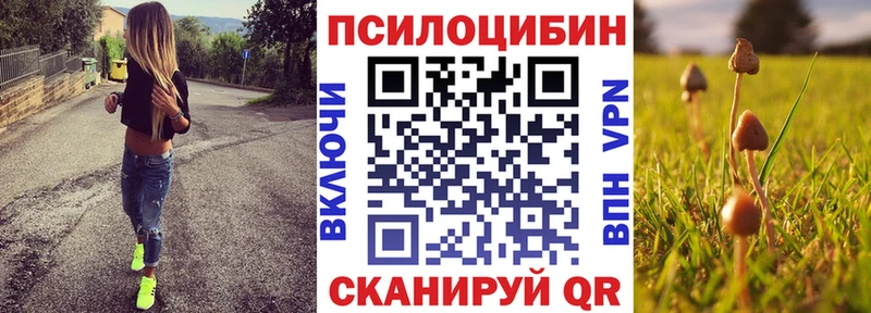 Галлюциногенные грибы Cubensis  Купить закладки  Аркадак 