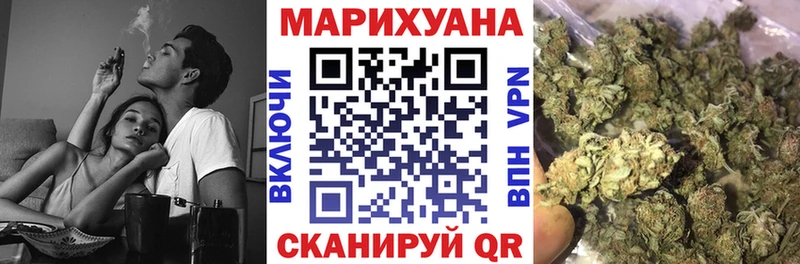 Купить где Аркадак Бошки марихуана сатива